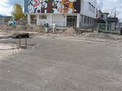 な~もの森造成(ビオトープ)