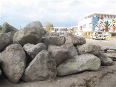 な~もの森造成(ビオトープ)