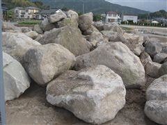 な~もの森造成(ビオトープ)