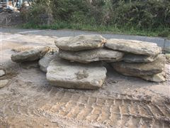 な~もの森造成(ビオトープ)