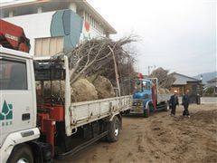 な~もの森造成(ビオトープ)