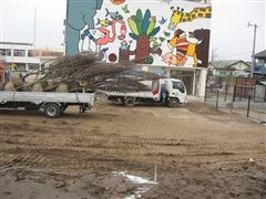 な~もの森造成(ビオトープ)