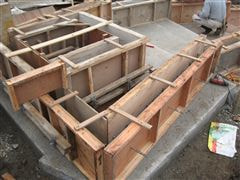 な~もの森造成(ビオトープ)