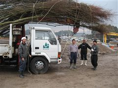 な~もの森造成(ビオトープ)