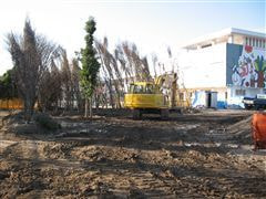 な~もの森造成(ビオトープ)