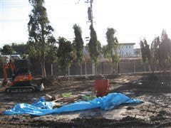 な~もの森造成(ビオトープ)