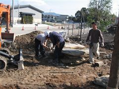 な~もの森造成(ビオトープ)