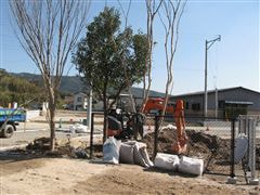 な~もの森造成(ビオトープ)