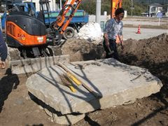 な~もの森造成(ビオトープ)