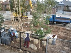 な~もの森造成(ビオトープ)