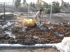 な~もの森造成(ビオトープ)