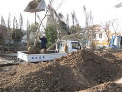 な~もの森造成(ビオトープ)