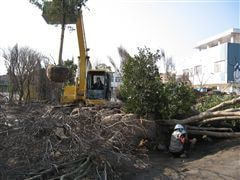 な~もの森造成(ビオトープ)