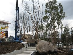 な~もの森造成(ビオトープ)