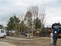 な~もの森造成(ビオトープ)