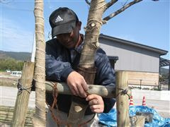 な~もの森造成(ビオトープ)