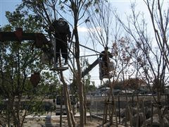 な~もの森造成(ビオトープ)