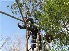 な~もの森造成(ビオトープ)
