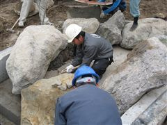 な~もの森造成(ビオトープ)