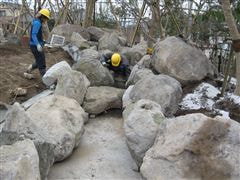 な~もの森造成(ビオトープ)