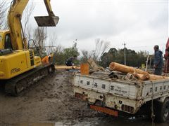 な~もの森造成(ビオトープ)