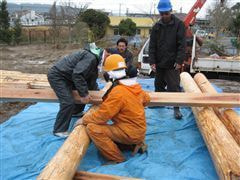 な~もの森造成(ビオトープ)