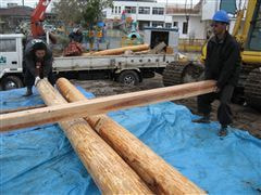 な~もの森造成(ビオトープ)