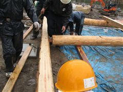 な~もの森造成(ビオトープ)