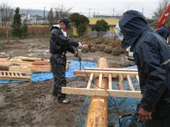 な~もの森造成(ビオトープ)