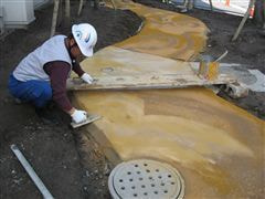 な~もの森造成(ビオトープ)