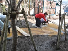 な~もの森造成(ビオトープ)