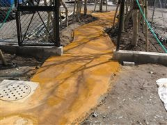 な~もの森造成(ビオトープ)