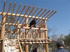 な~もの森造成(ビオトープ)