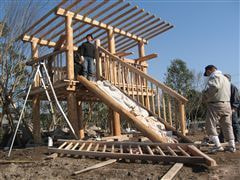 な~もの森造成(ビオトープ)