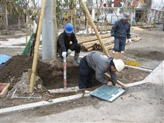 な~もの森造成(ビオトープ)