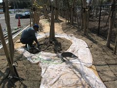 な~もの森造成(ビオトープ)