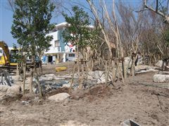 な~もの森造成(ビオトープ)