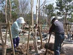 な~もの森造成(ビオトープ)