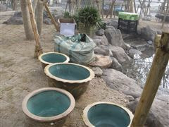 な~もの森造成(ビオトープ)