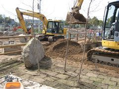 な~もの森造成(ビオトープ)