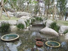 な~もの森造成(ビオトープ)