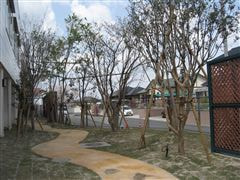 な~もの森造成(ビオトープ)