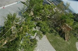 な~もの森造成(ビオトープ)