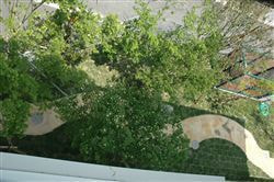 な~もの森造成(ビオトープ)