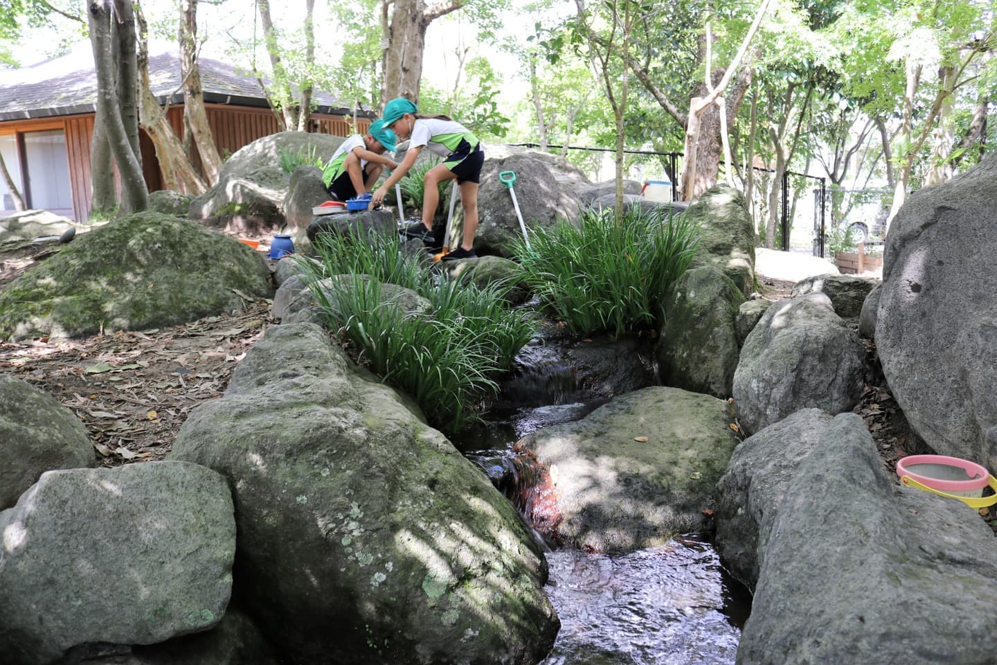 な~もの森で遊ぶ②