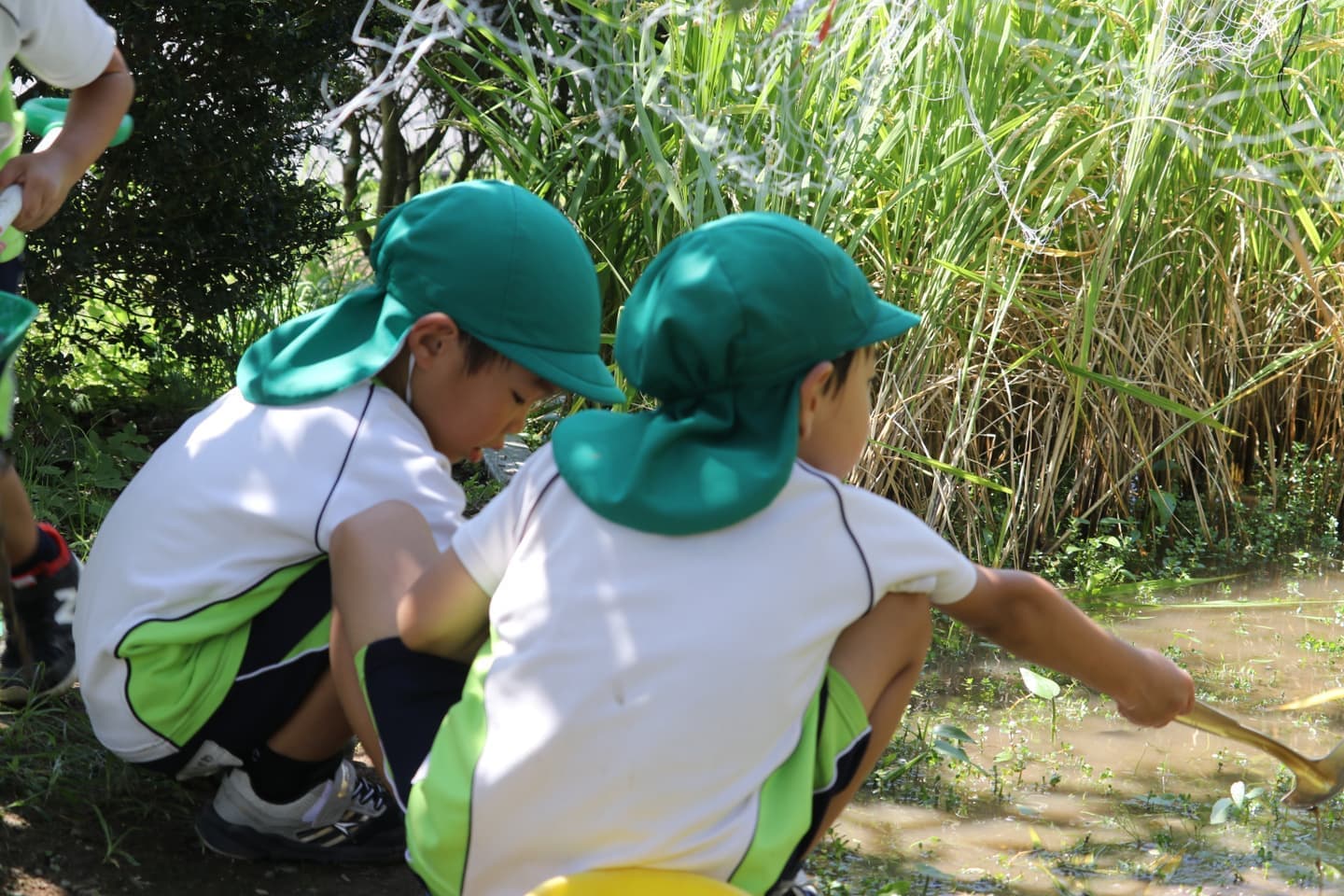 稲刈りをする子どもたち